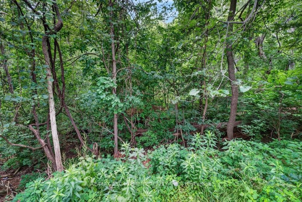 Photo 30 of 230 Morrison Road, Oakville, Morrison — HOMEH