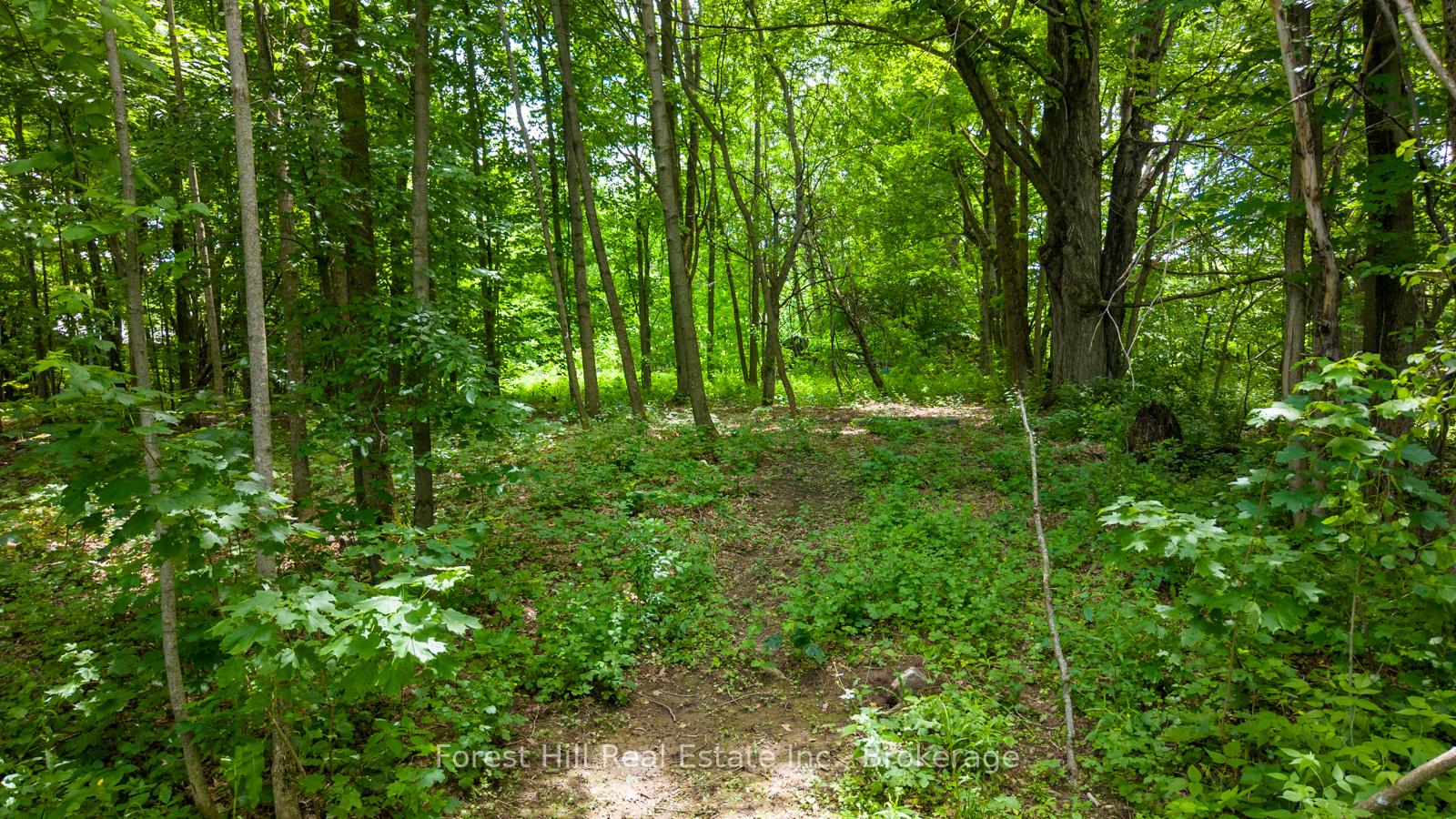 Photo 3 of 154 Bowles Bluff Road, Grey Highlands — HOMEH