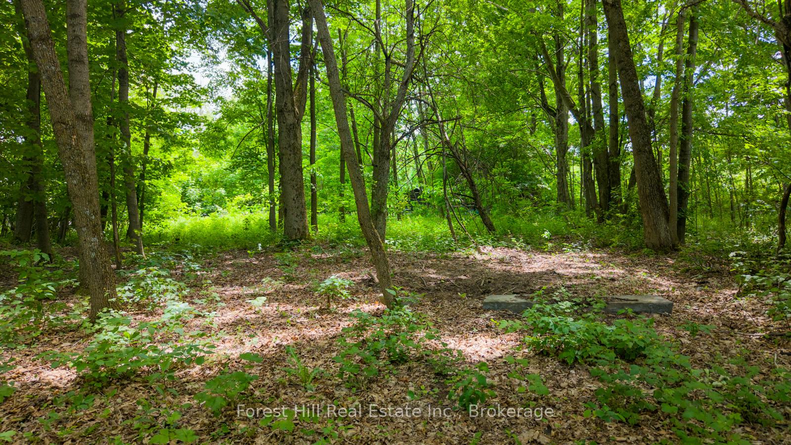 Photo 4 of 154 Bowles Bluff Road, Grey Highlands — HOMEH