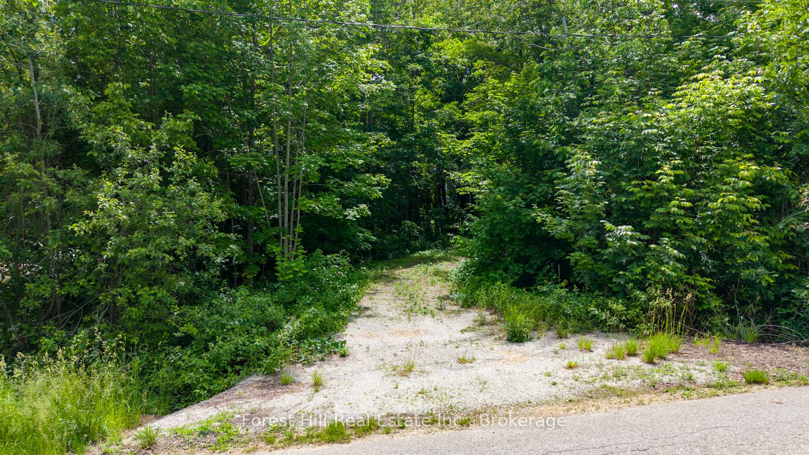 Photo 5 of 154 Bowles Bluff Road, Grey Highlands — HOMEH