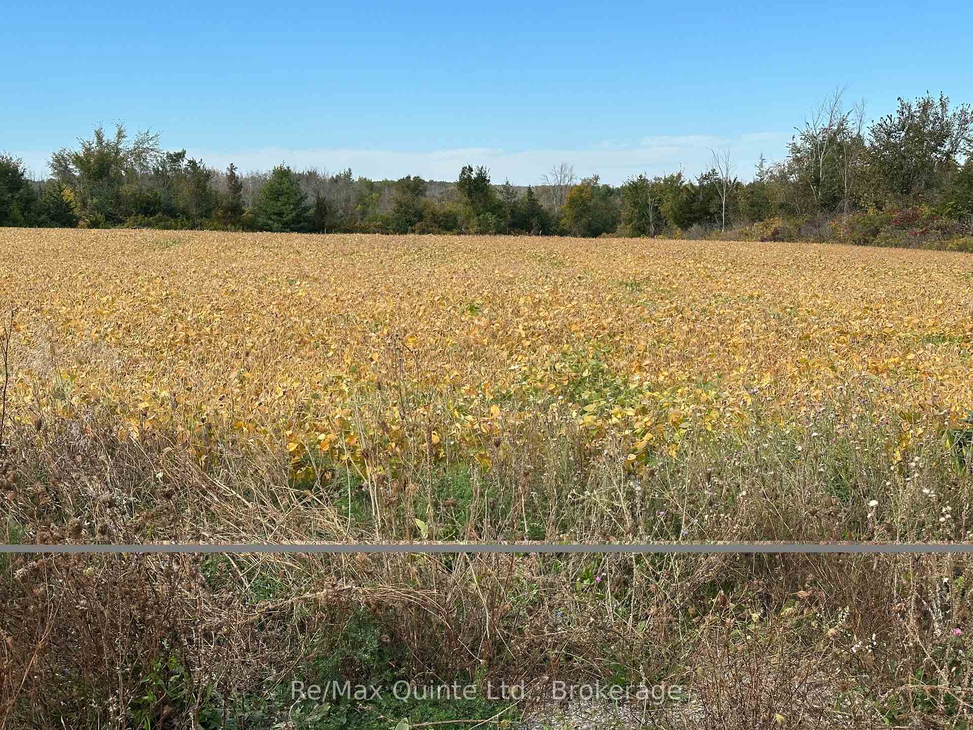 Photo of 1807 Marysville Road
