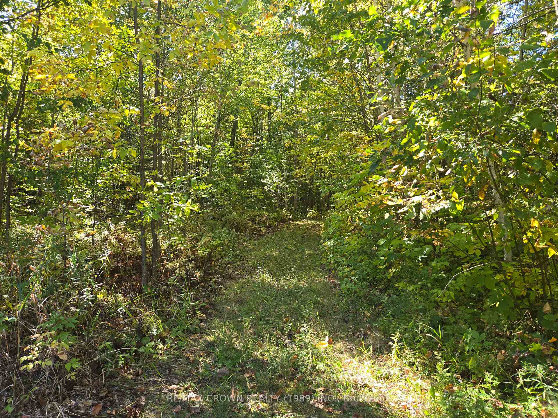 Photo 15 of 40 Fortin Drive, West Nipissing, Verner — HOMEH