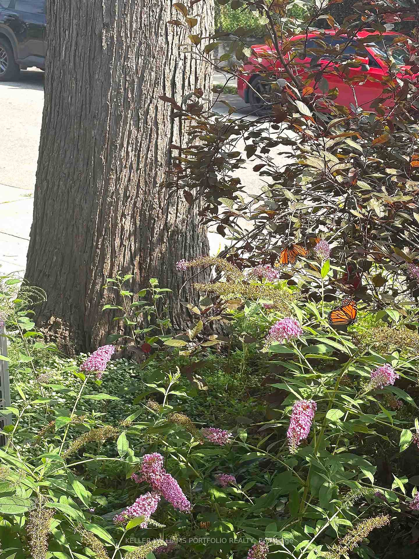 Photo 35 of 46 Blandford Street, Toronto, Oakwood Village — HOMEH