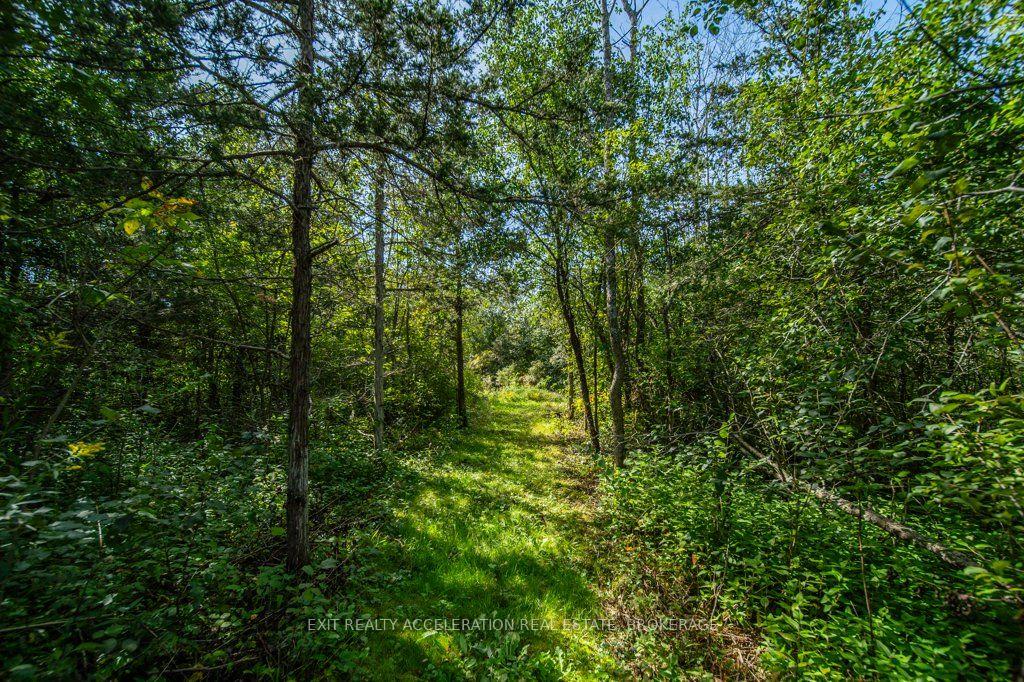 Photo 47 of 504 Coronation Boulevard, Loyalist, Amherstview — HOMEH