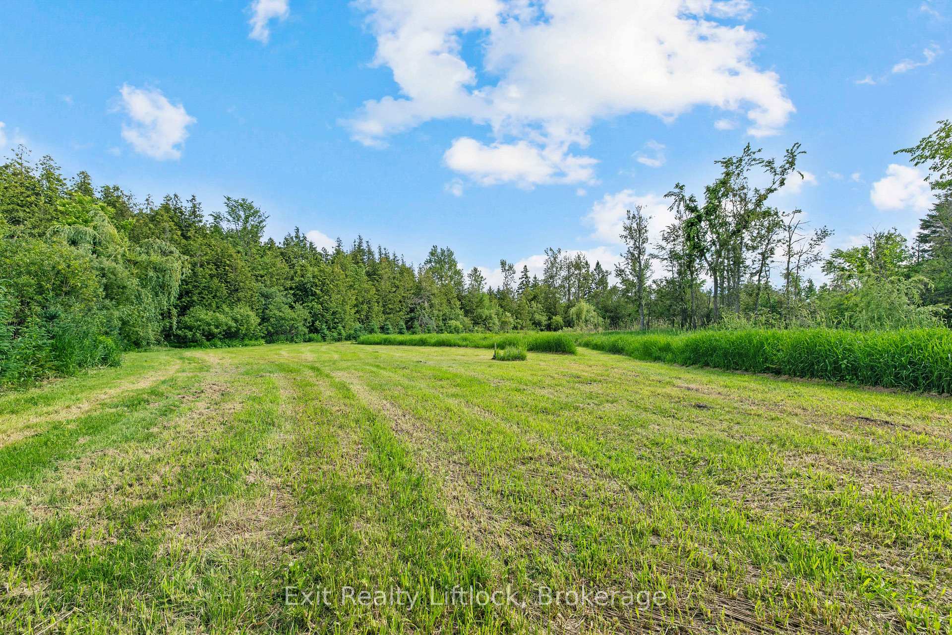 Photo 31 of 2917 Highway 28, Douro-Dummer — HOMEH
