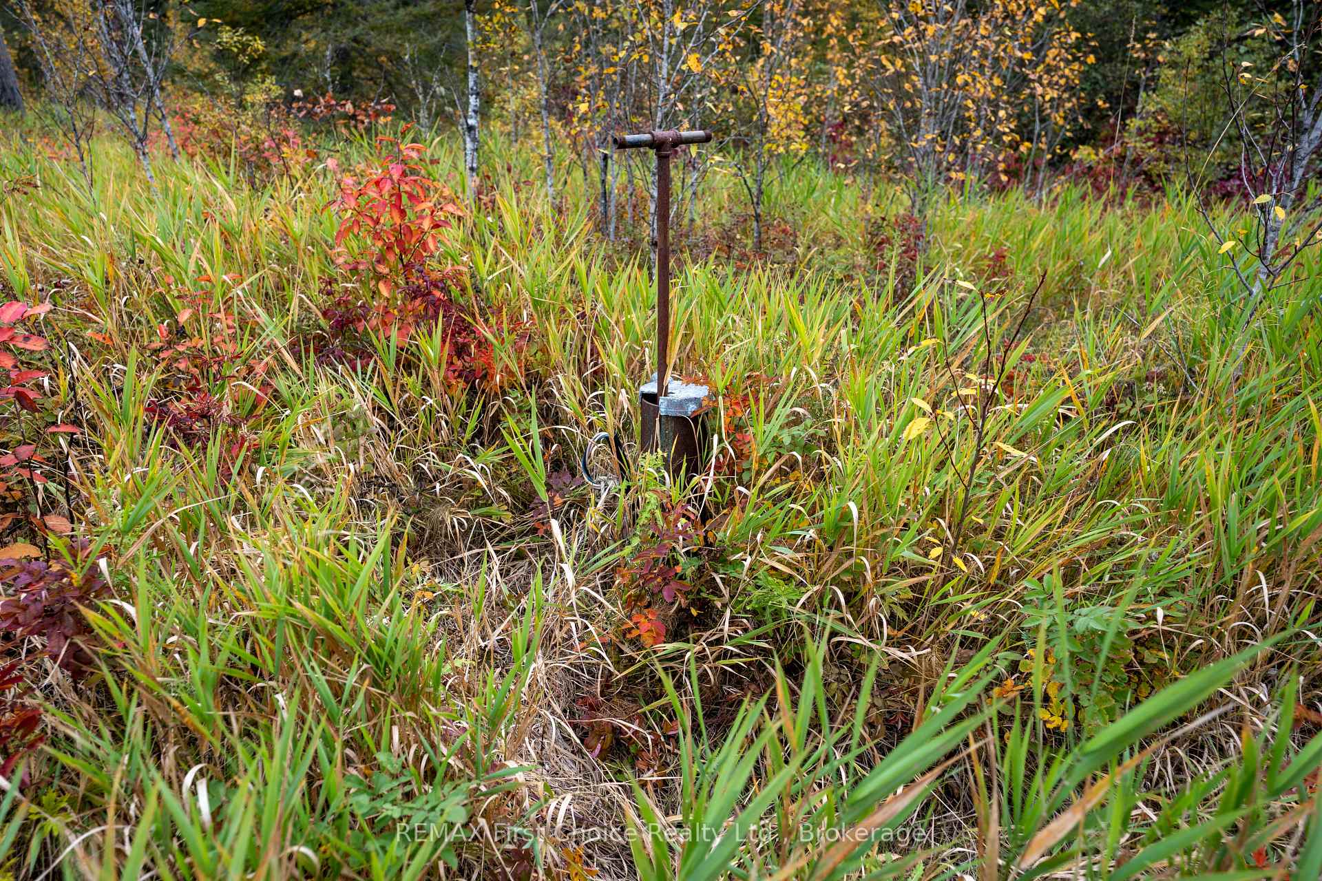 Photo 27 of 470 Auto Road, Thunder Bay Remote Area, Ware — HOMEH