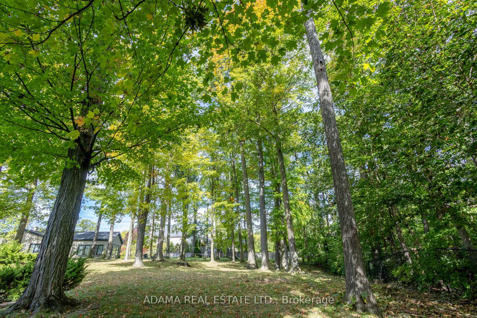 Photo 6 of 85 Sylvan Brook Avenue, Vaughan, East Woodbridge — HOMEH
