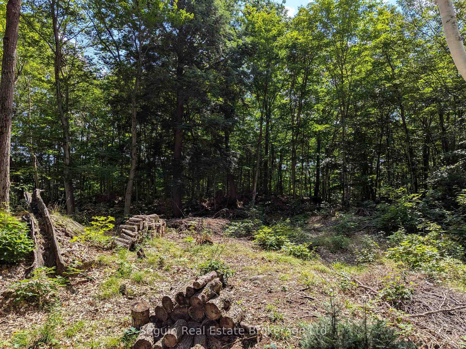 Photo 32 of 44 Springhill Road, McKellar — HOMEH