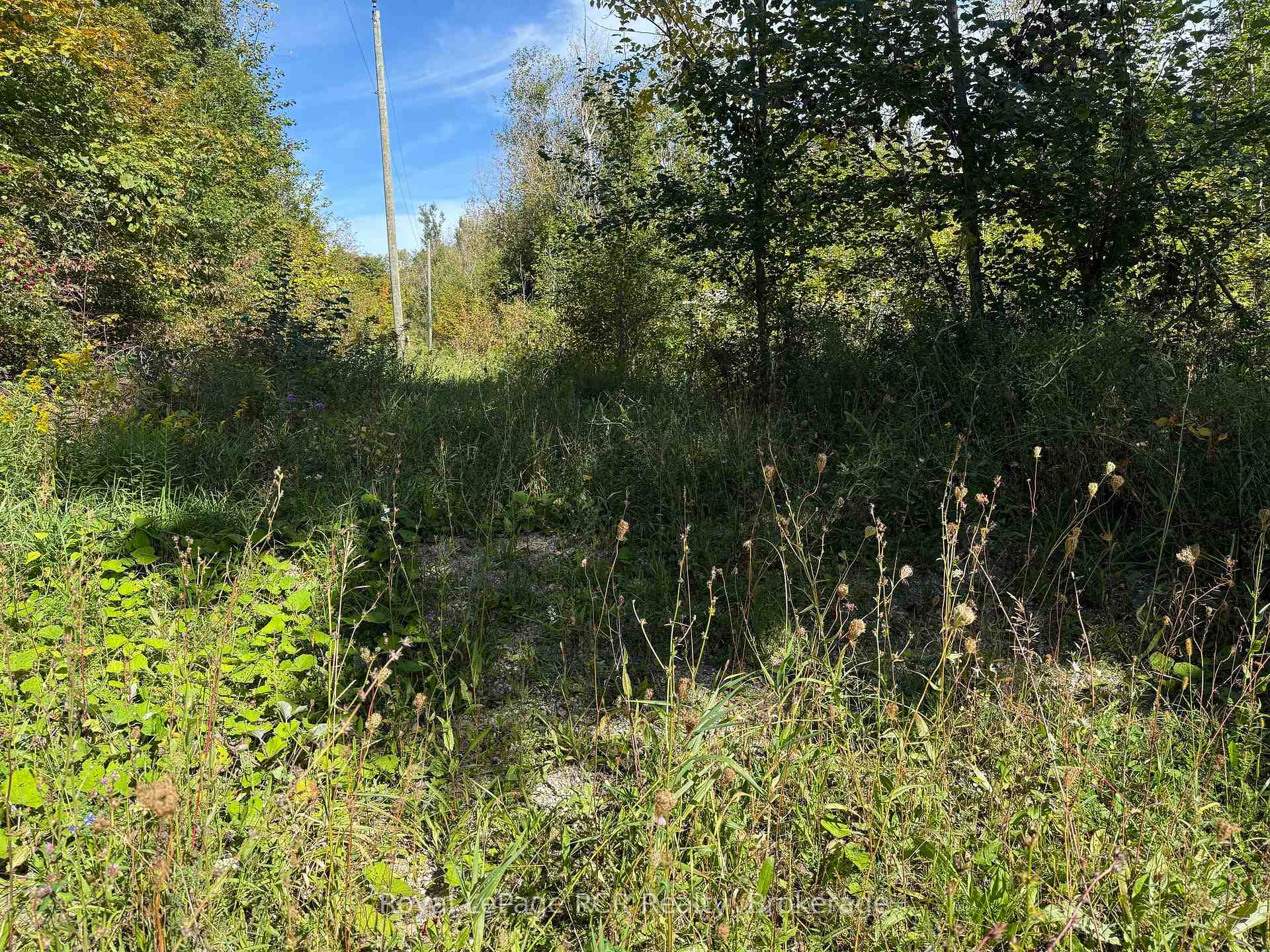 Photo 3 of PTLT 16 Sideroad 16A, Grey Highlands — HOMEH