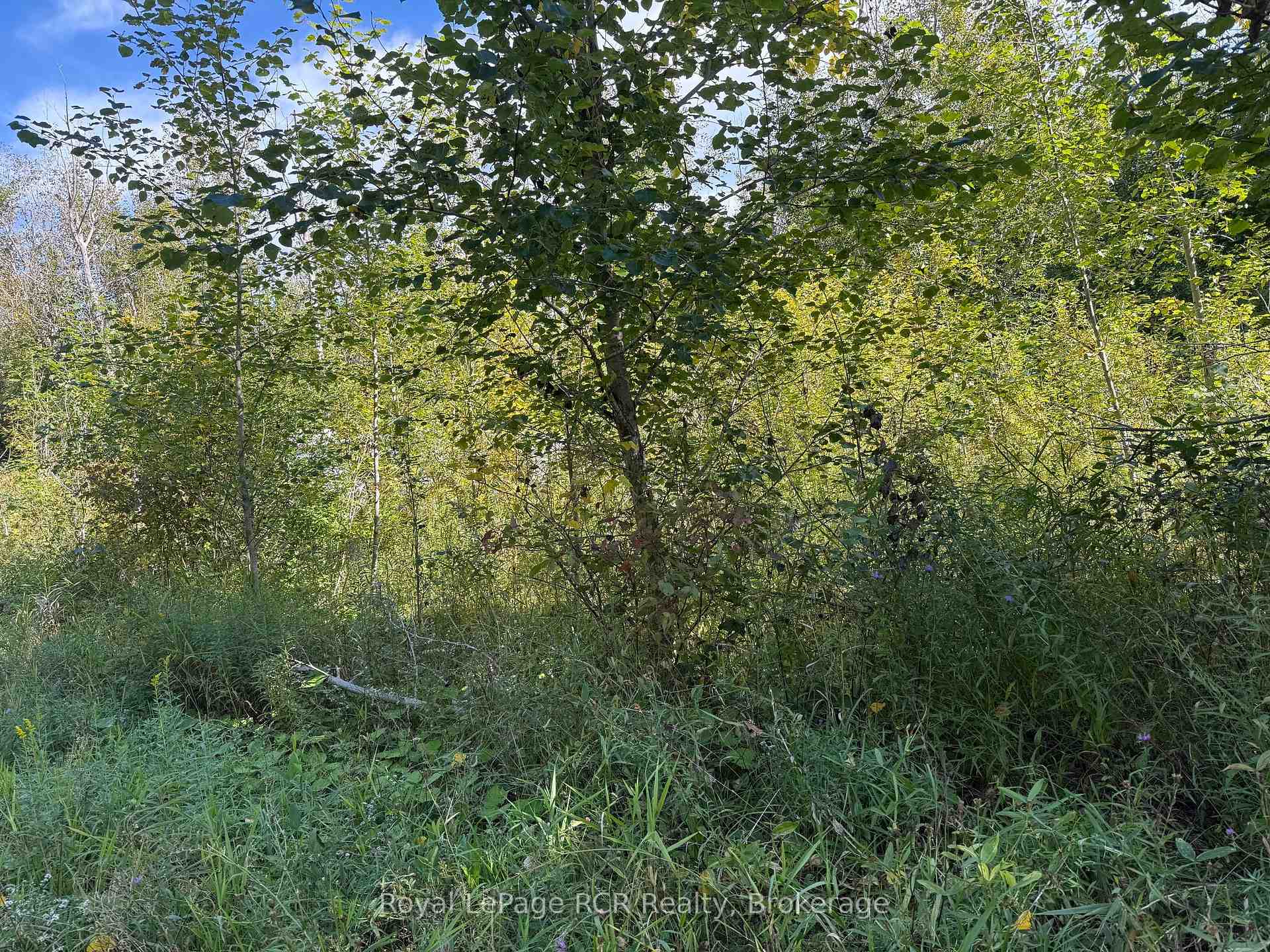 Photo 4 of PTLT 16 Sideroad 16A, Grey Highlands — HOMEH