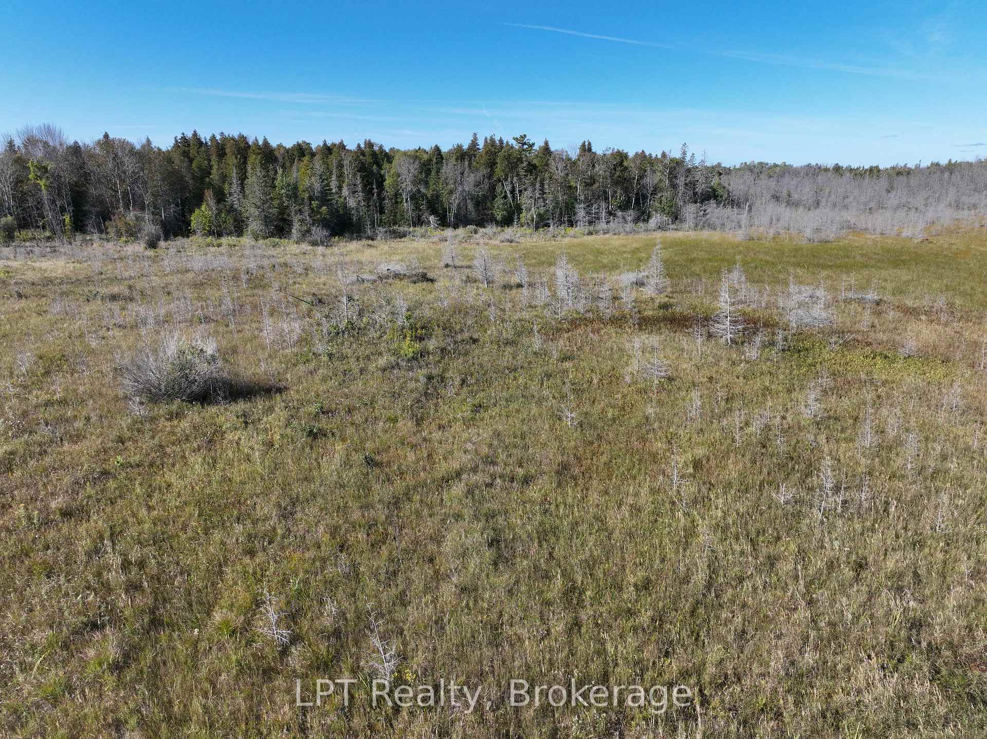 Photo 9 of 23 Rabbit, South Bruce Peninsula — HOMEH