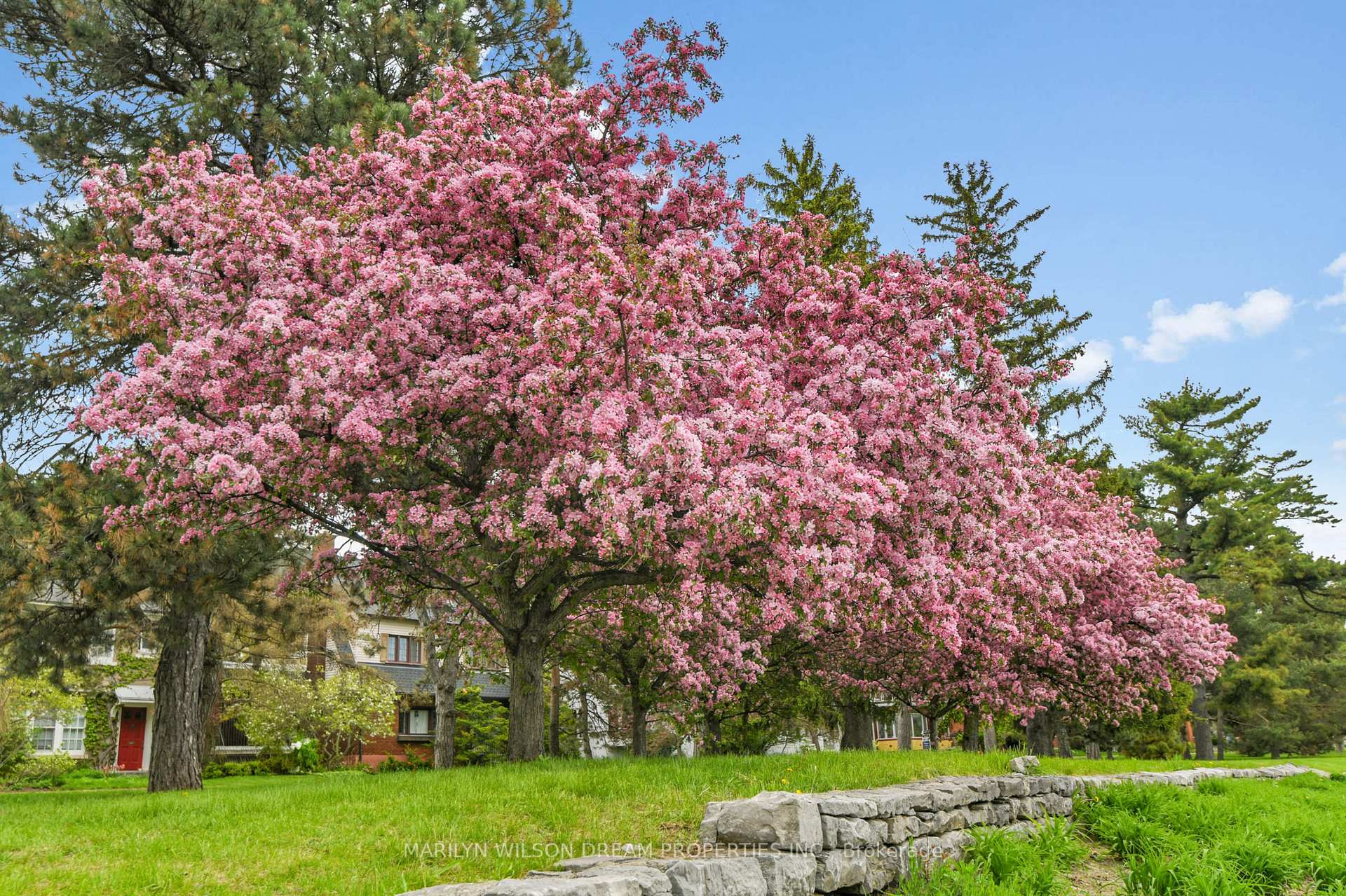 Photo 30 of 598 Queen Elizabeth Drive, Ottawa, Glebe — HOMEH