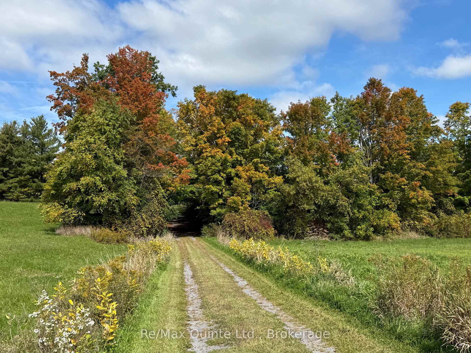 Photo 6 of 1079 Clearview Road, Centre Hastings — HOMEH