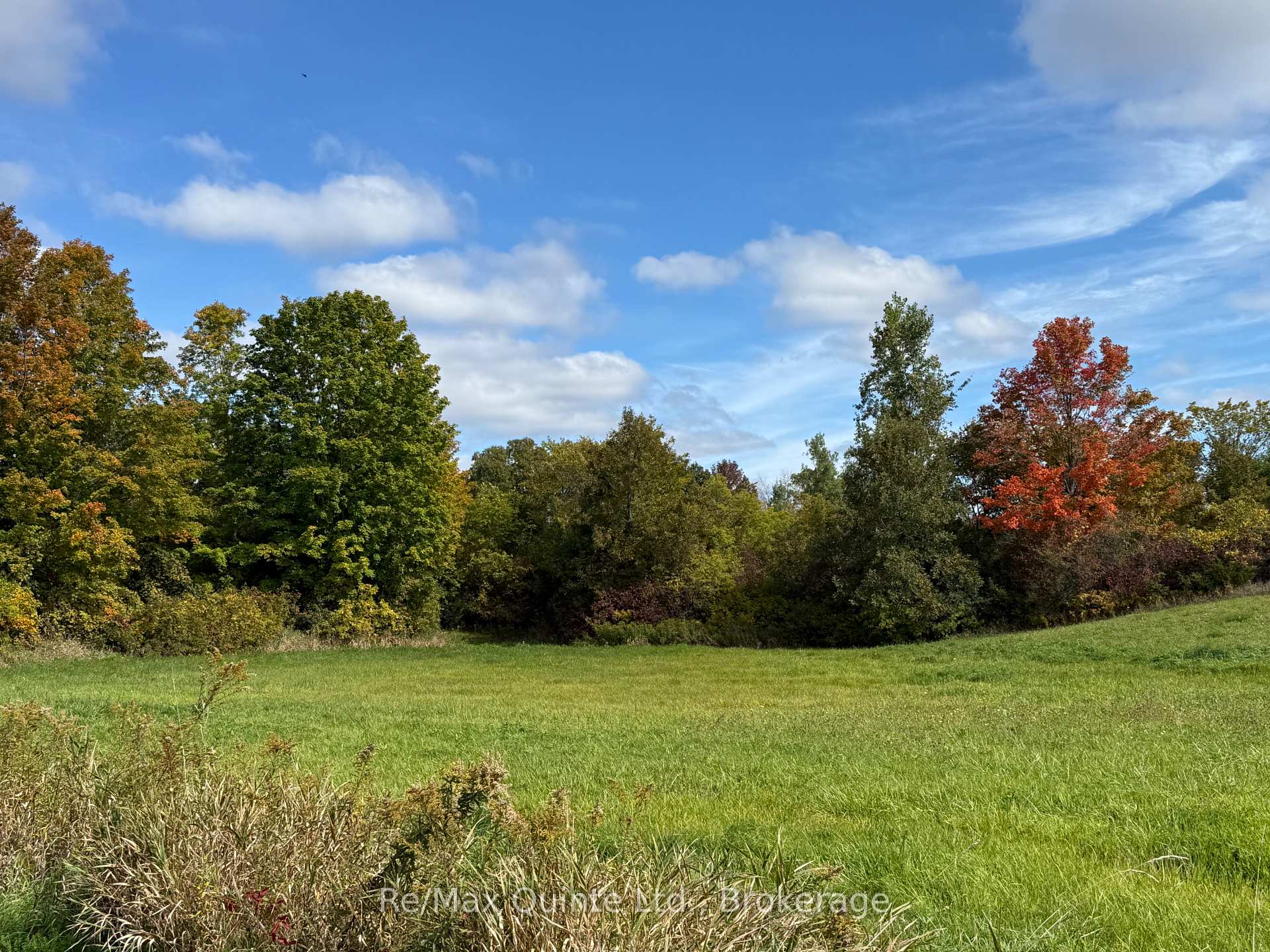 Photo 13 of 1079 Clearview Road, Centre Hastings — HOMEH
