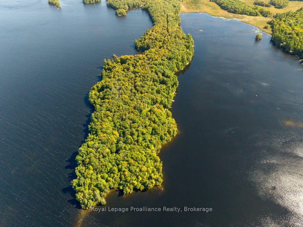 Photo 49 of 1239 Chimney Point Lane, North Frontenac, Frontenac North — HOMEH