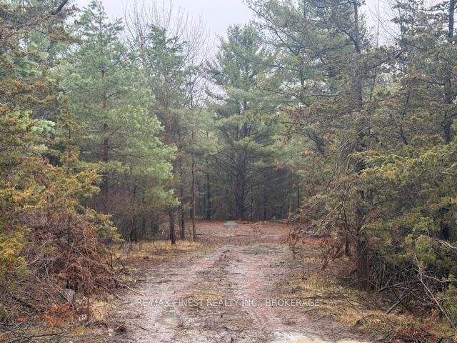 Photo 2 of 590 Love Road, Loyalist, Lennox and Addington - South — HOMEH