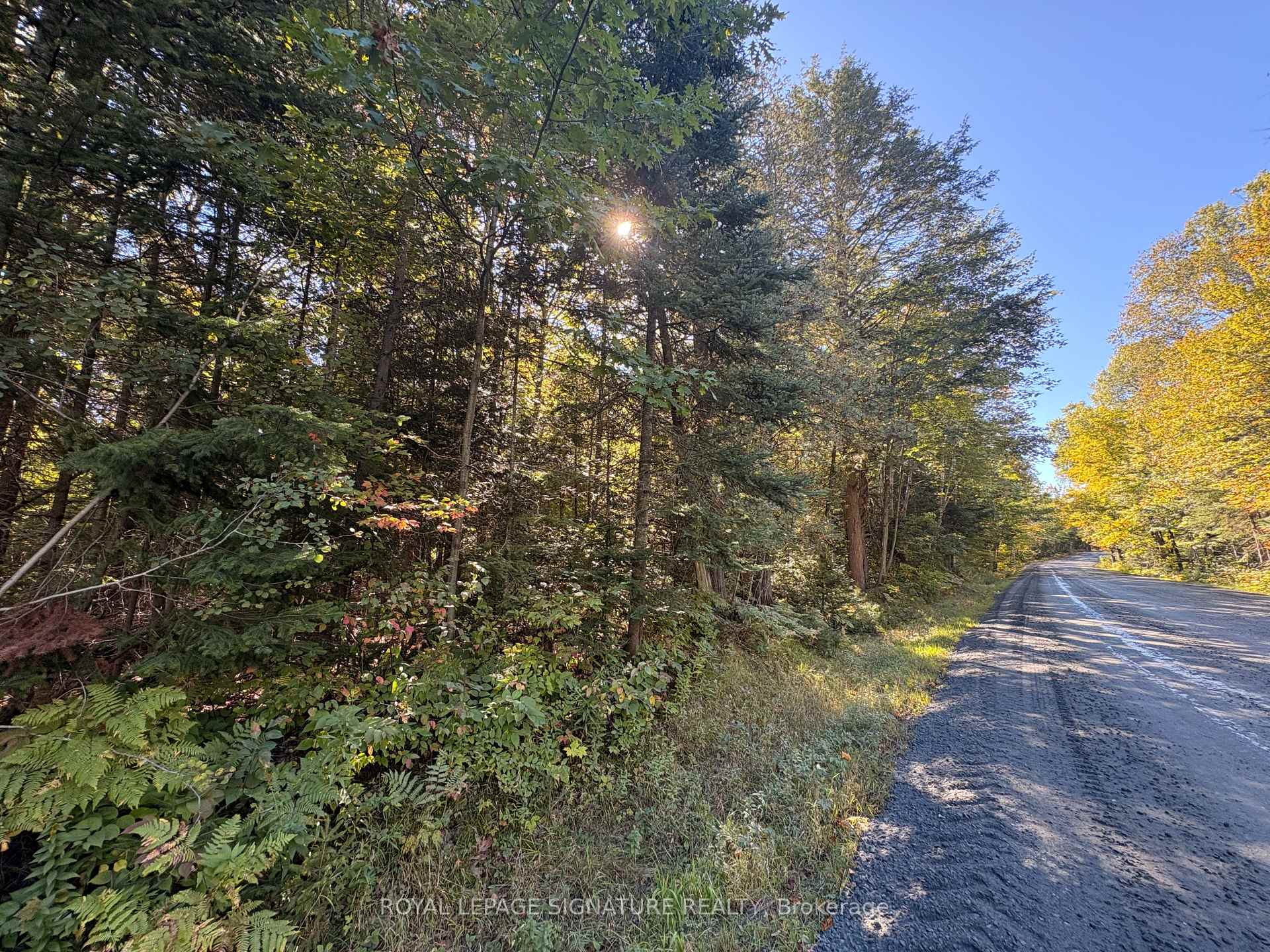 Photo 4 of 63 Bunny Trail, McDougall — HOMEH