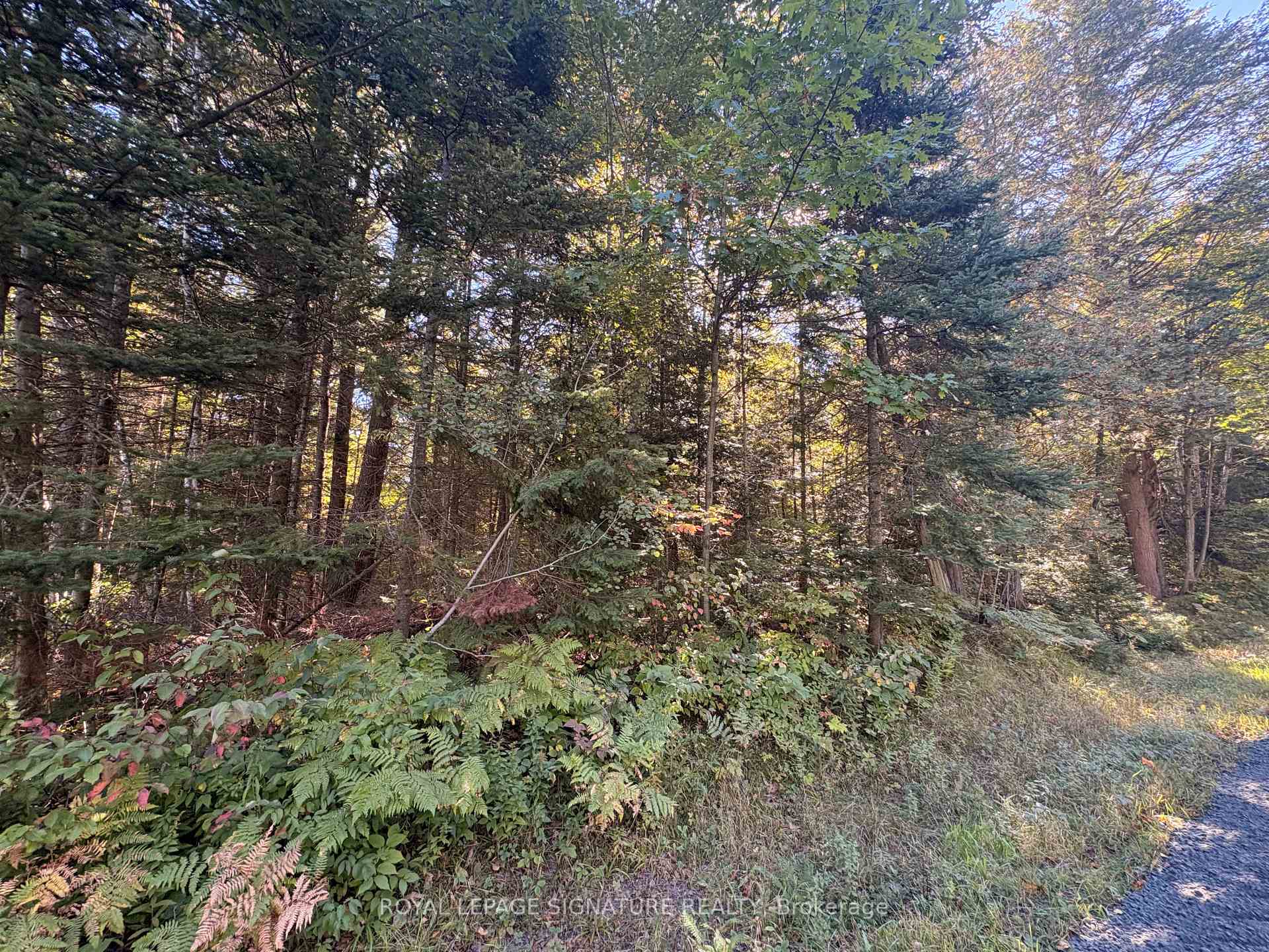 Photo 6 of 63 Bunny Trail, McDougall — HOMEH