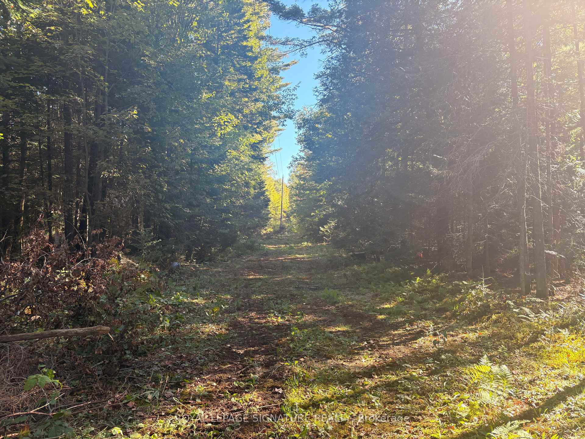 Photo 9 of 63 Bunny Trail, McDougall — HOMEH