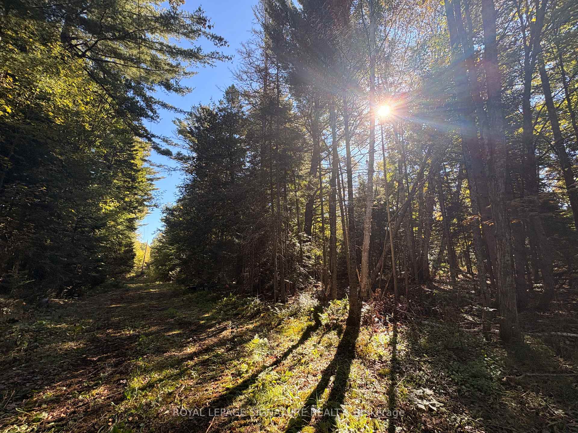 Photo 10 of 63 Bunny Trail, McDougall — HOMEH