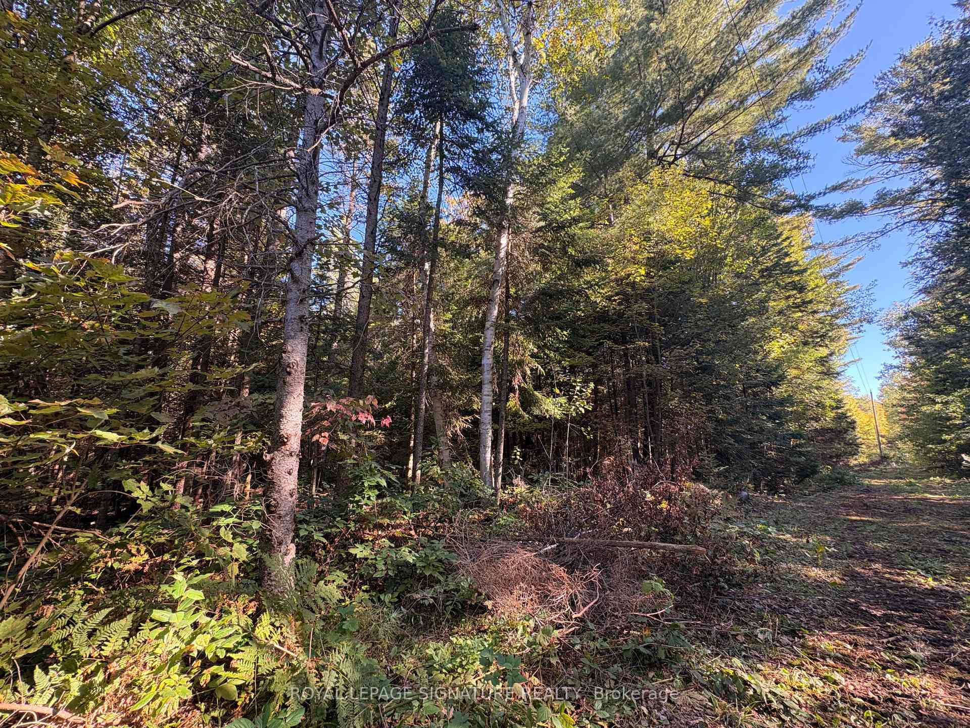 Photo 11 of 63 Bunny Trail, McDougall — HOMEH