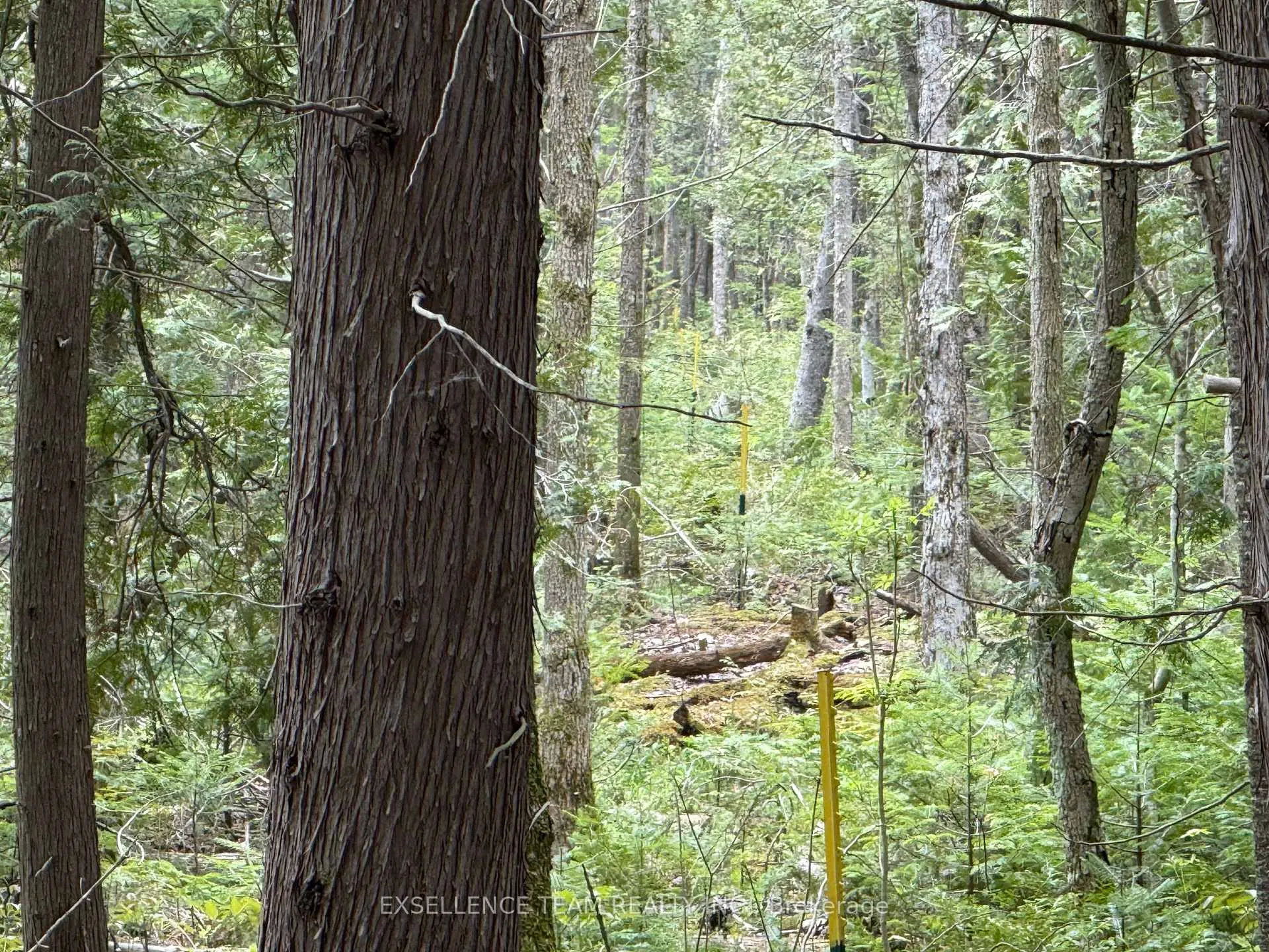 Photo 3 of 000 Kenyon Dam Road S, North Glengarry, North Glengarry (Kenyon) Twp — HOMEH