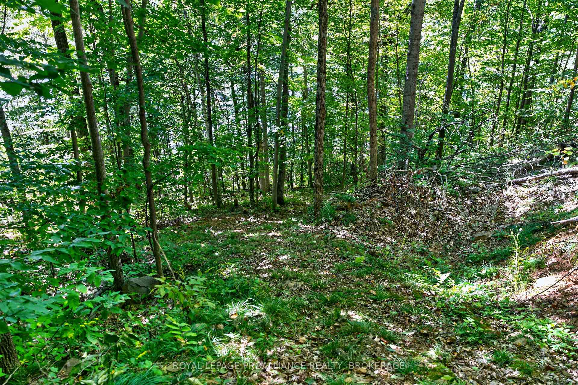Photo 4 of 1057 Forest Lane, Frontenac, Frontenac Centre — HOMEH