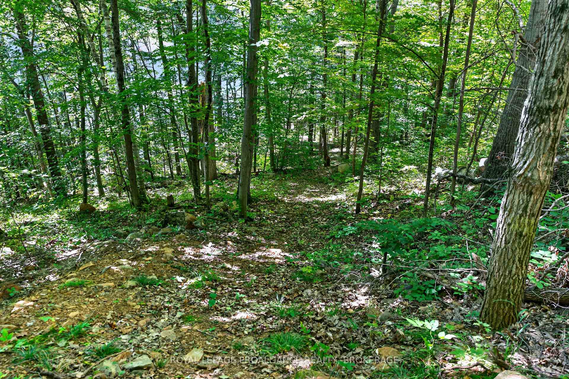 Photo 5 of 1057 Forest Lane, Frontenac, Frontenac Centre — HOMEH