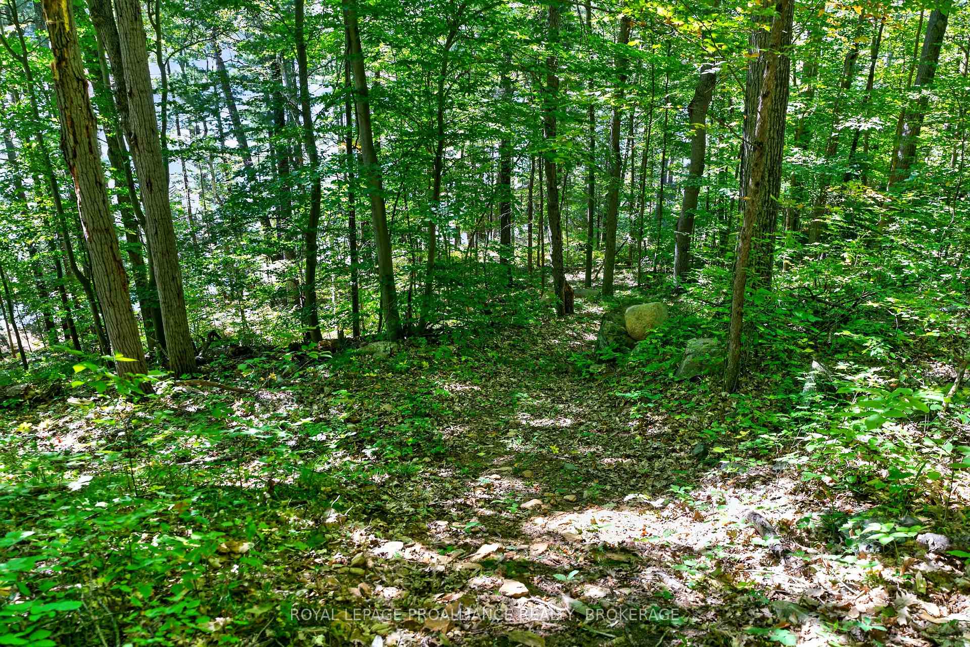 Photo 6 of 1057 Forest Lane, Frontenac, Frontenac Centre — HOMEH