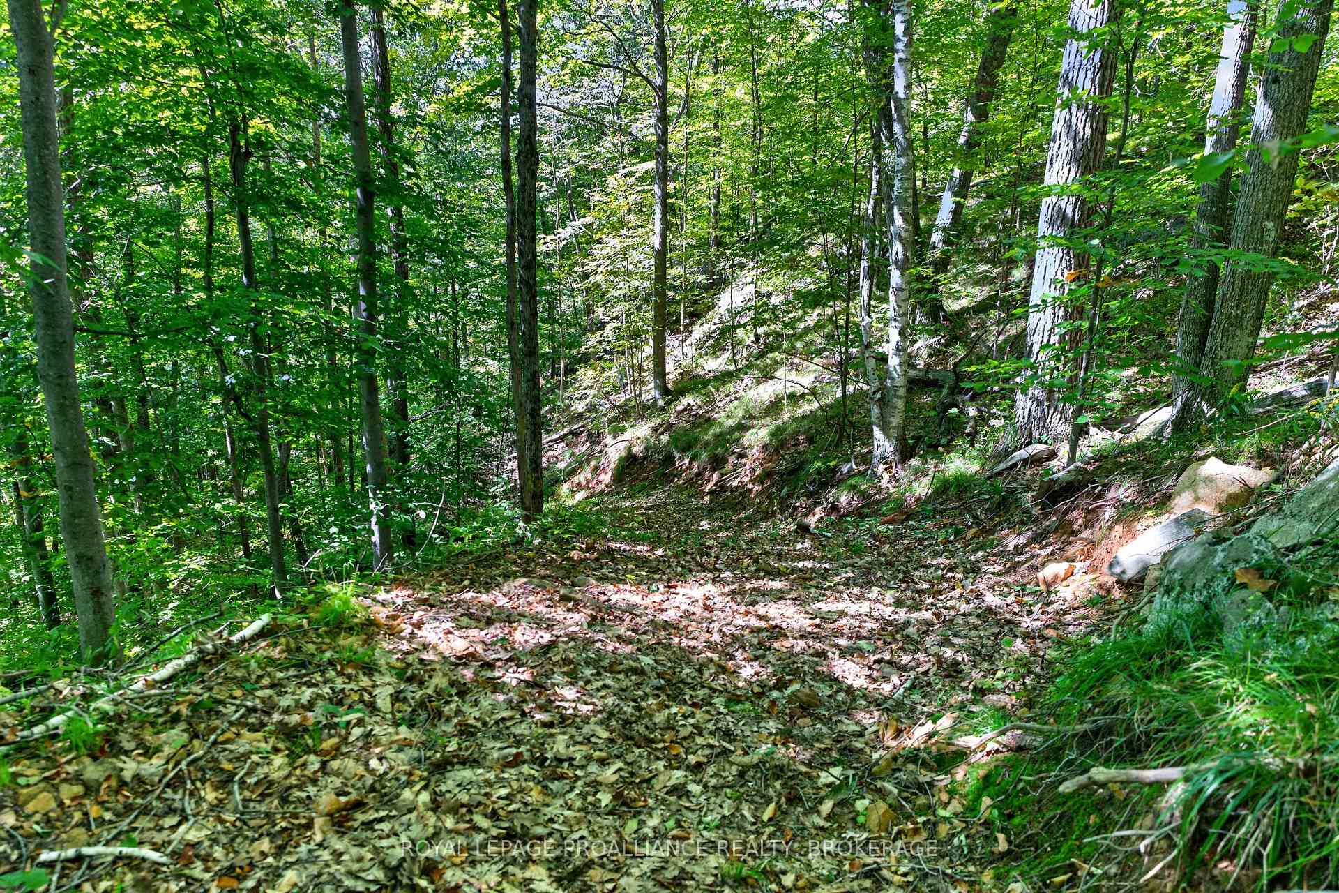 Photo 8 of 1057 Forest Lane, Frontenac, Frontenac Centre — HOMEH
