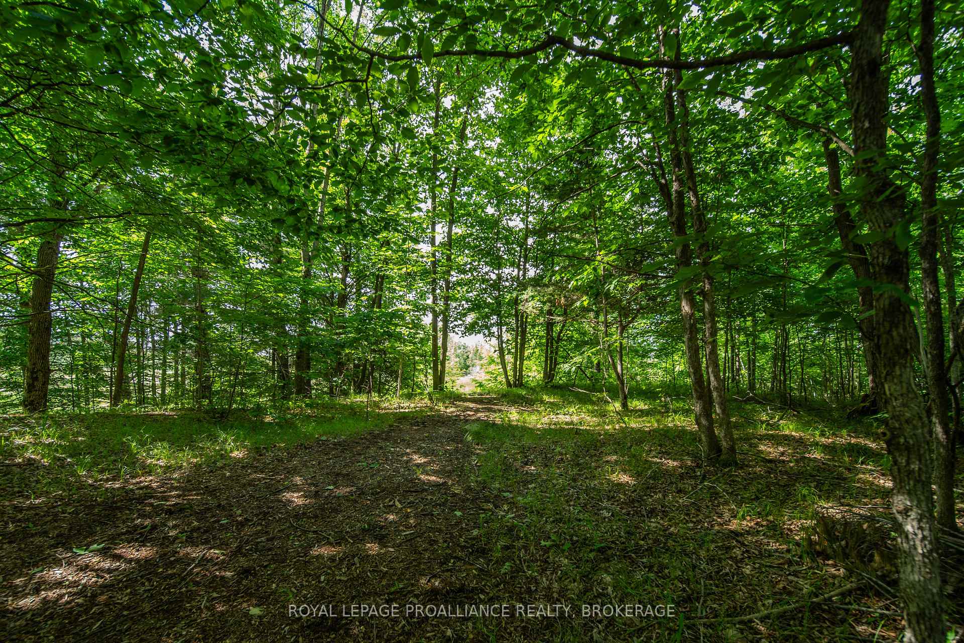 Photo 47 of 2800 Desert Lake Road, Frontenac, Frontenac South — HOMEH