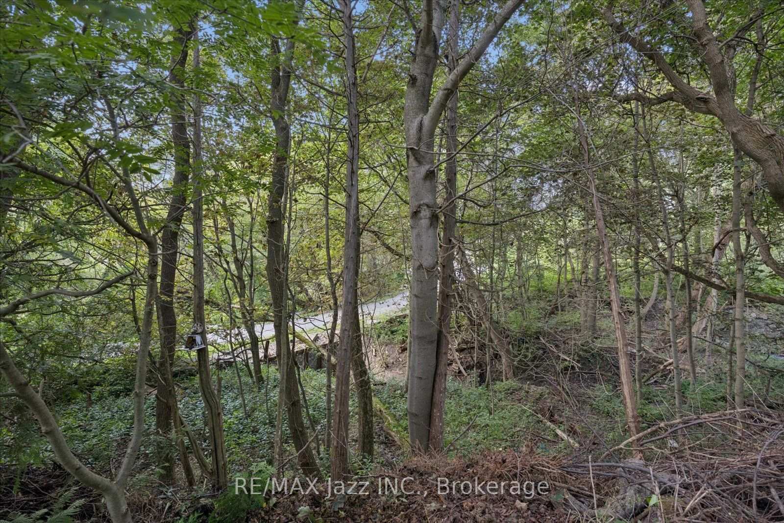 Photo 26 of 364 King Street E, Clarington, Bowmanville — HOMEH