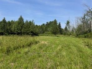 Photo 6 of 12992 #7 Highway, Lanark Highlands, Lanark Highlands (Lanark) Twp — HOMEH