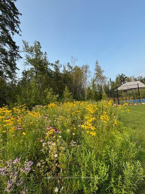 Photo 50 of 24 Windfield Drive W, Oro-Medonte, Rural Oro-Medonte — HOMEH