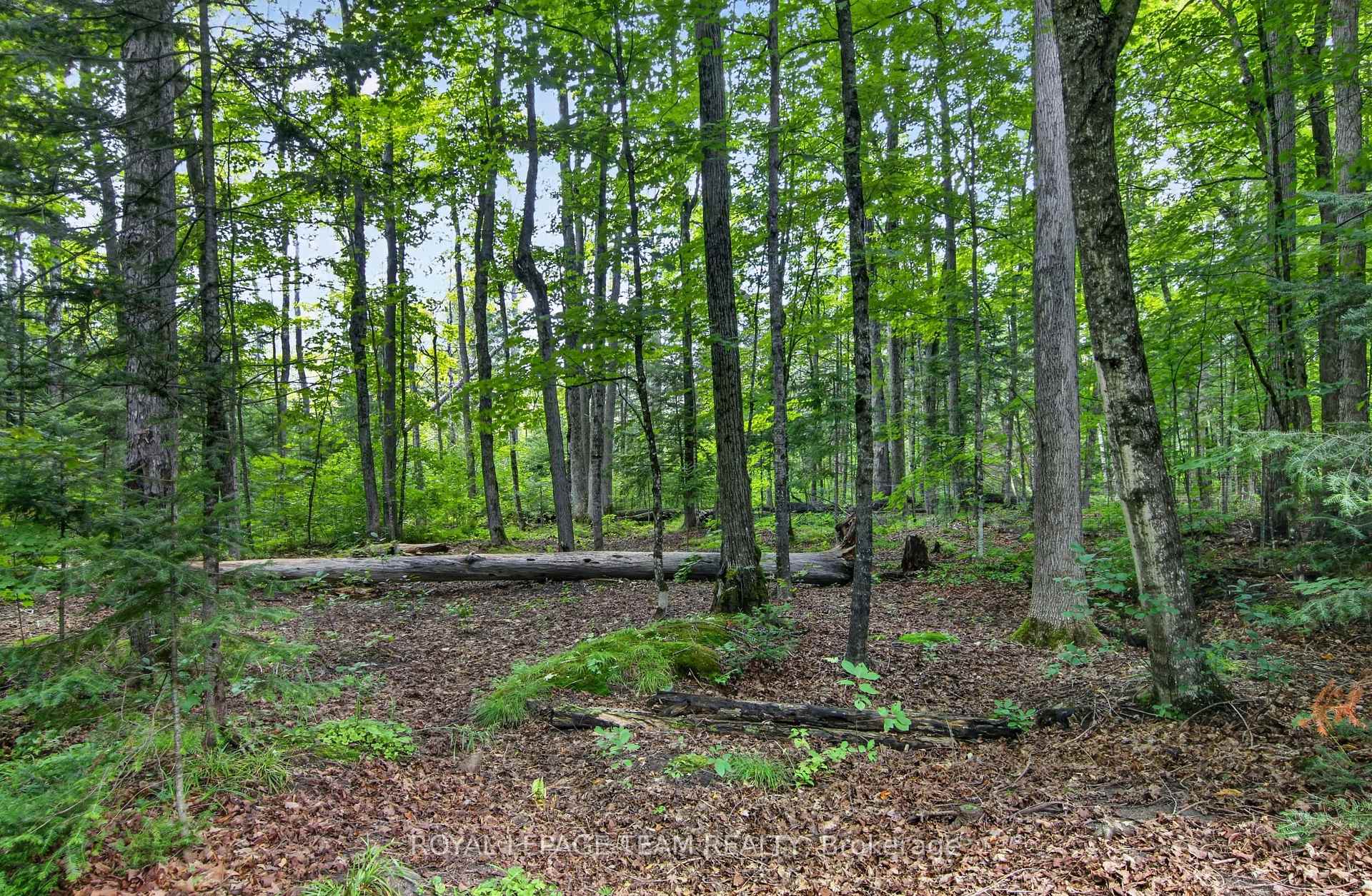 Photo 46 of 126 Mockingbird Lane, Beckwith, Beckwith Twp — HOMEH