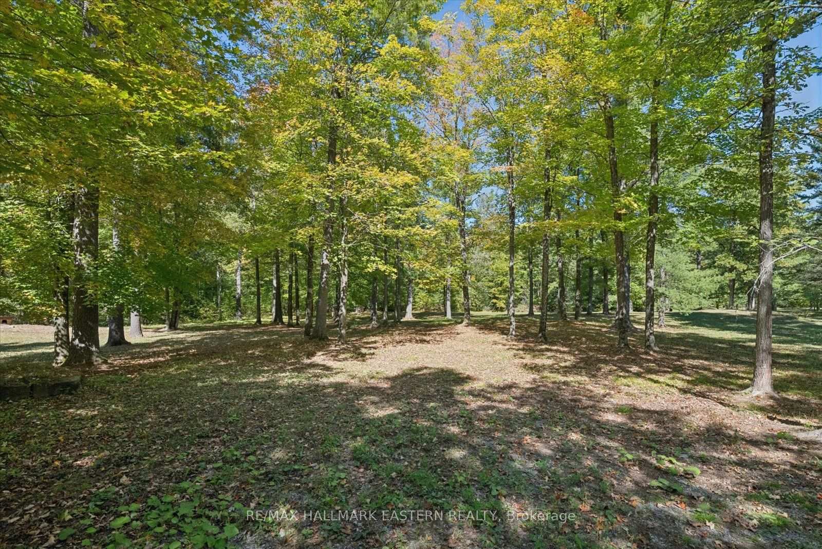 Photo 48 of 778 Eighth Line Road S, Douro-Dummer — HOMEH