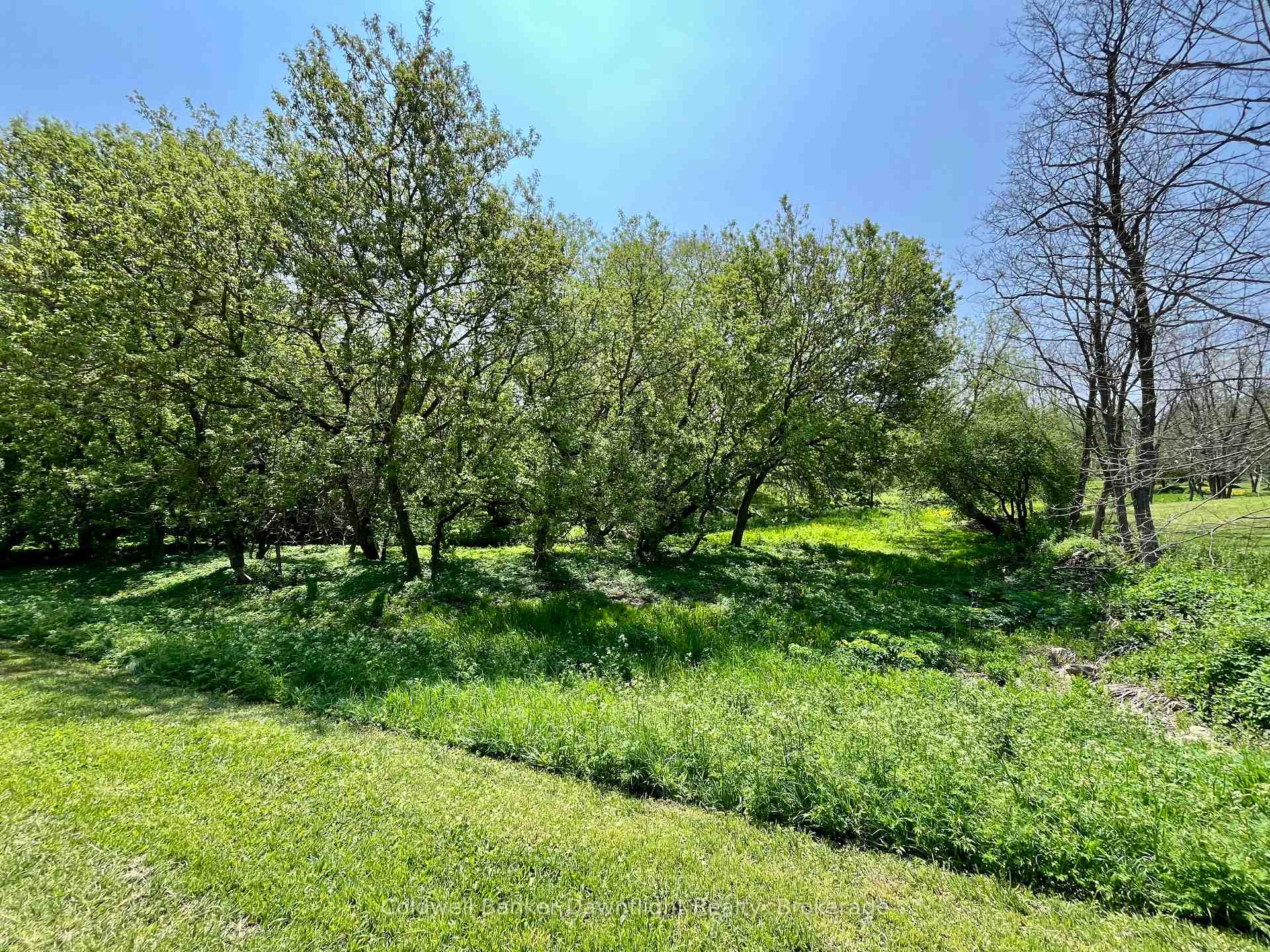 Photo 2 of LT 214 215 Albert Street, Howick — HOMEH