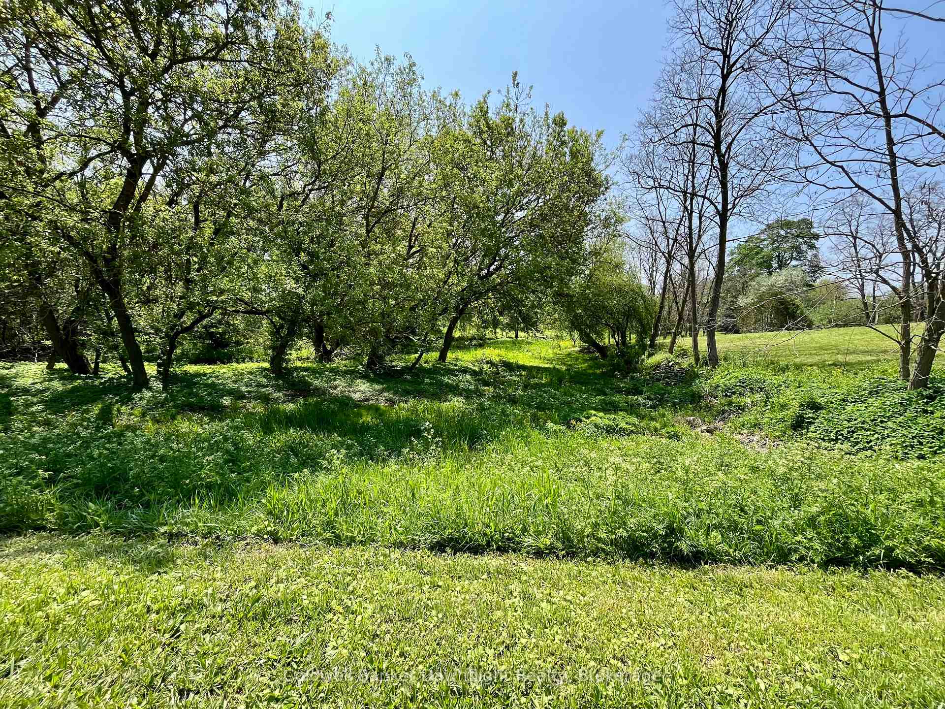 Photo 3 of LT 214 215 Albert Street, Howick — HOMEH