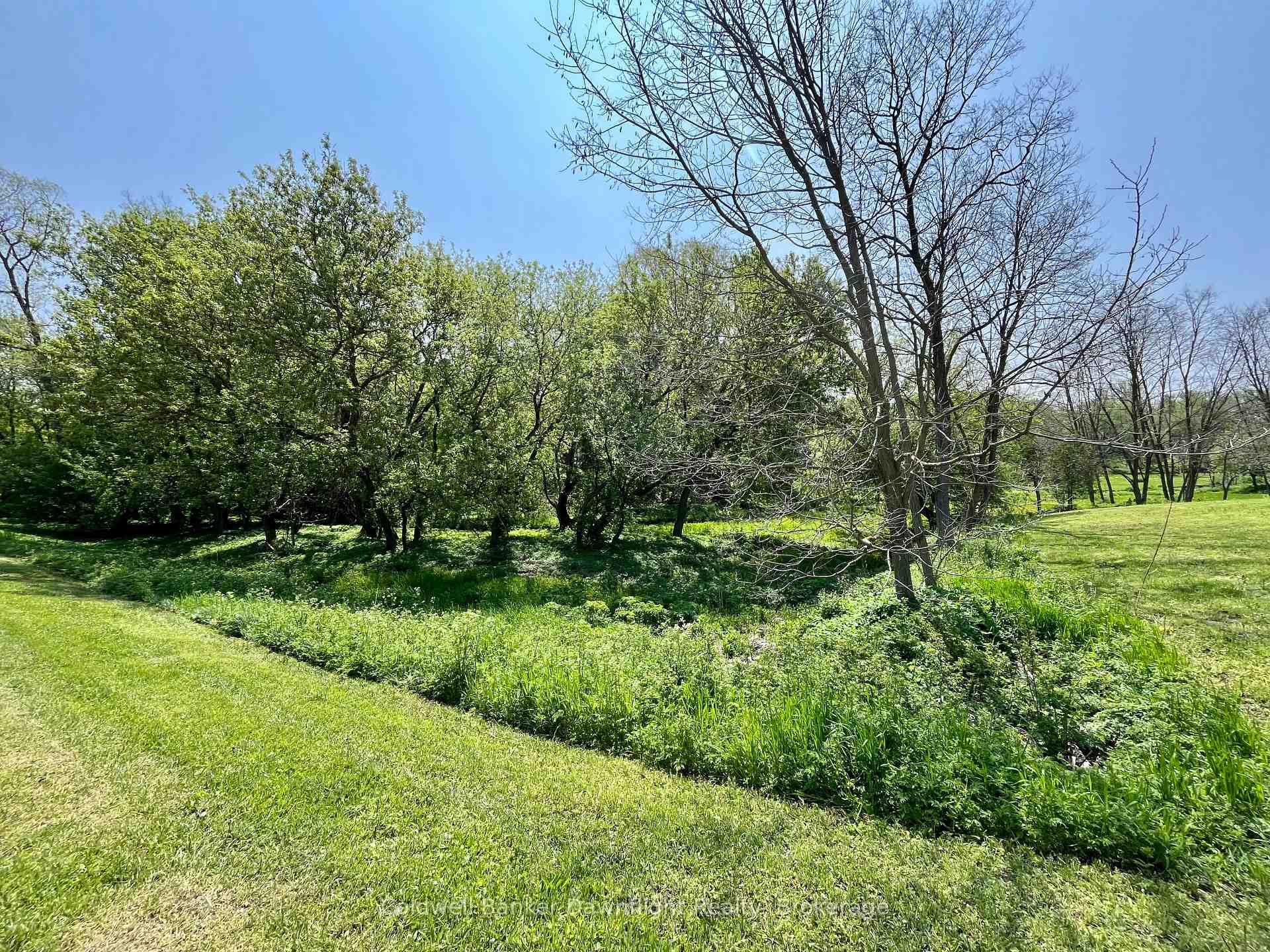 Photo 4 of LT 214 215 Albert Street, Howick — HOMEH