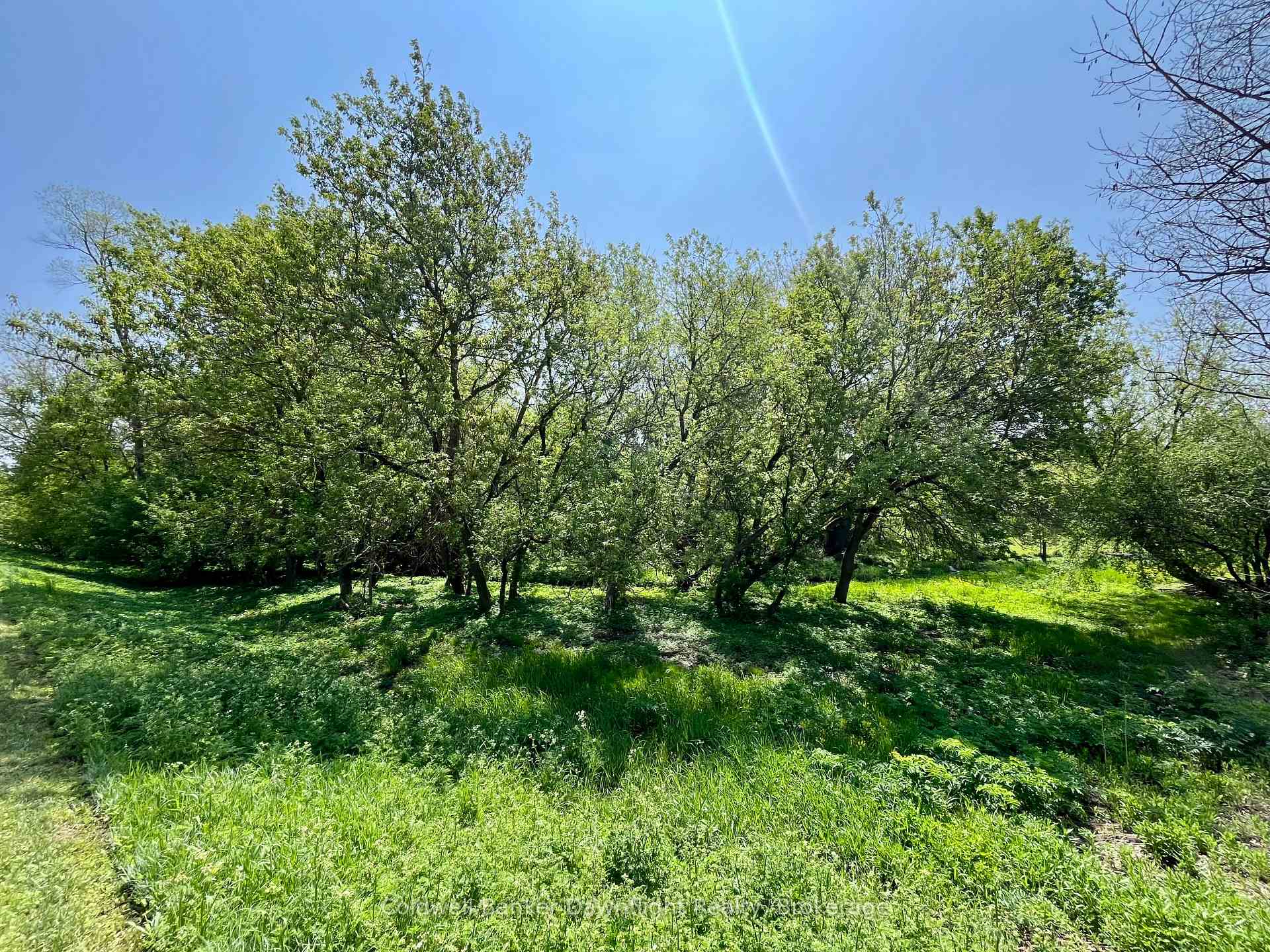 Photo 5 of LT 214 215 Albert Street, Howick — HOMEH