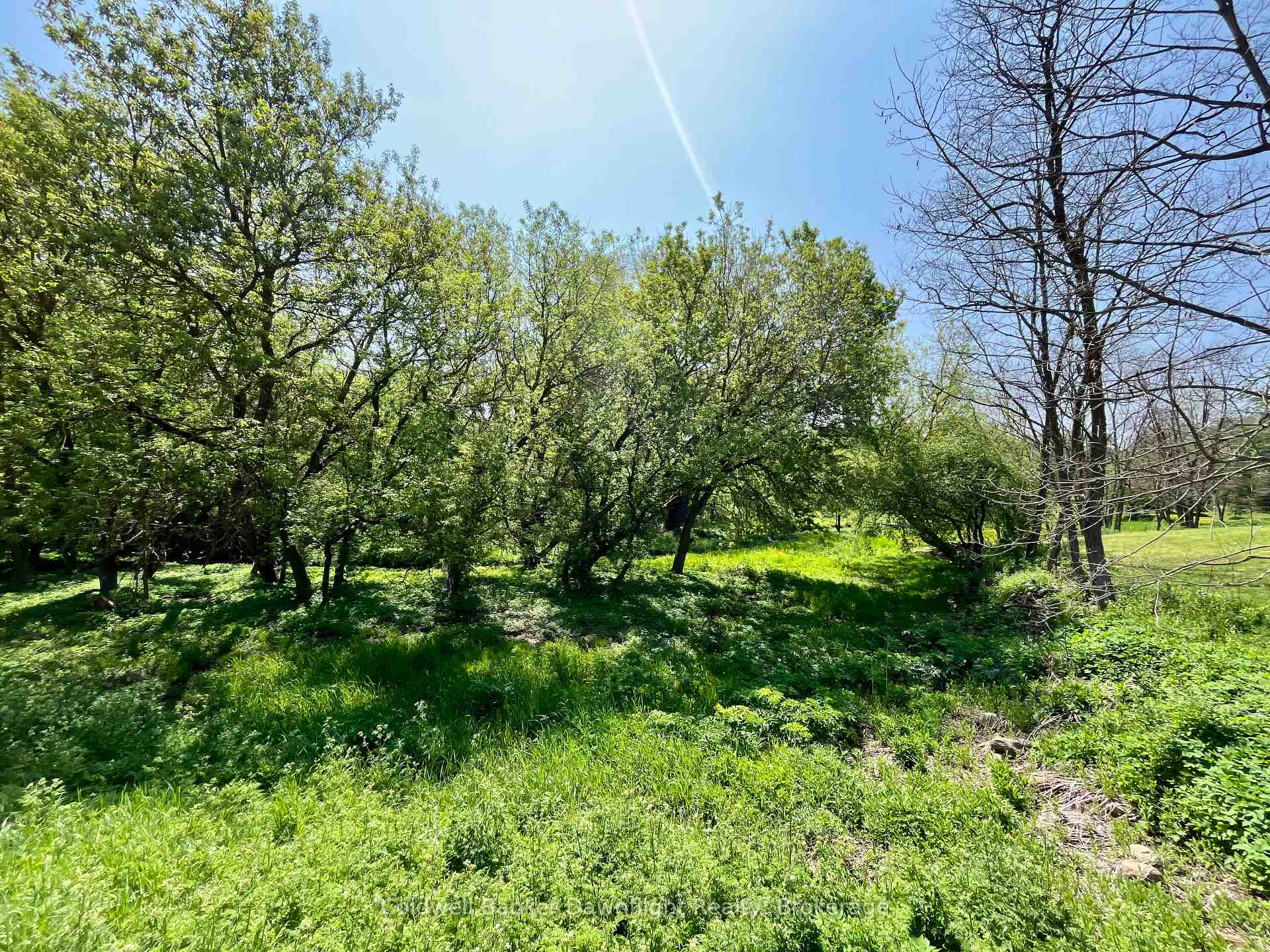 Photo 6 of LT 214 215 Albert Street, Howick — HOMEH