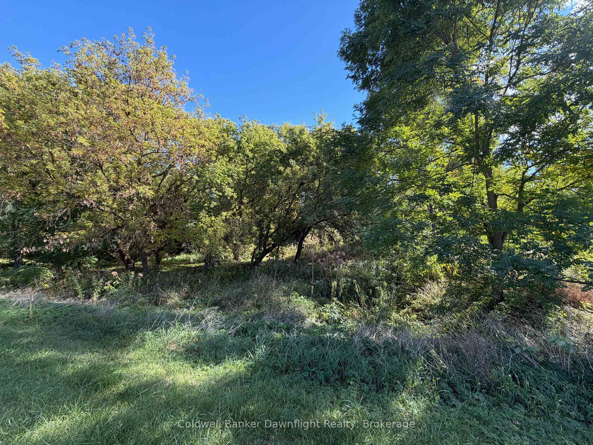 Photo 7 of LT 214 215 Albert Street, Howick — HOMEH