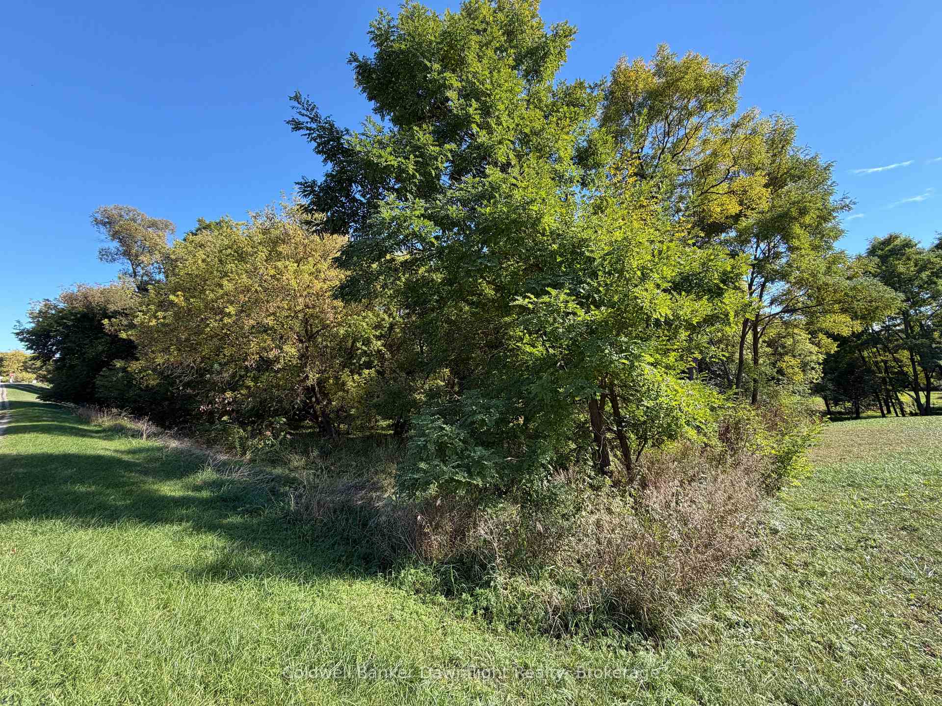 Photo 8 of LT 214 215 Albert Street, Howick — HOMEH
