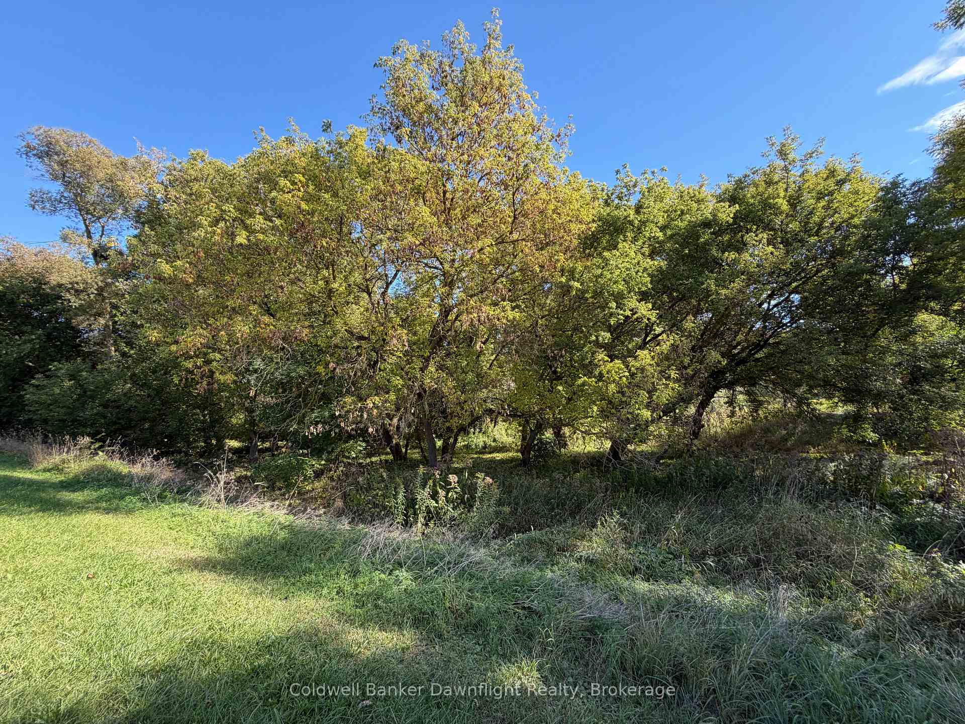 Photo 9 of LT 214 215 Albert Street, Howick — HOMEH