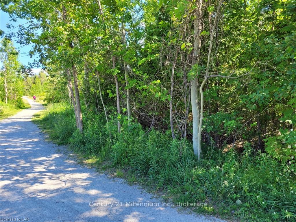 Photo of 11325 26 Highway
