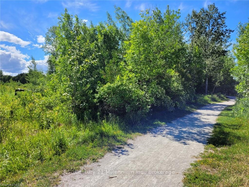 Photo 2 of 11325 26 Highway, Collingwood — HOMEH