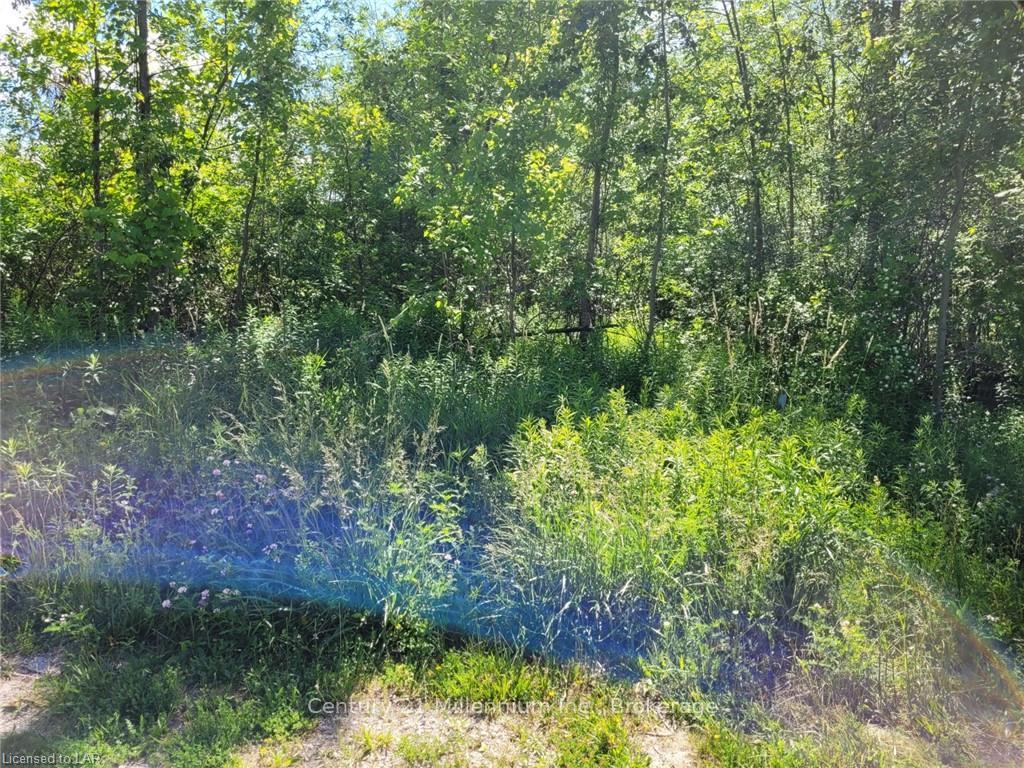 Photo 6 of 11325 26 Highway, Collingwood — HOMEH