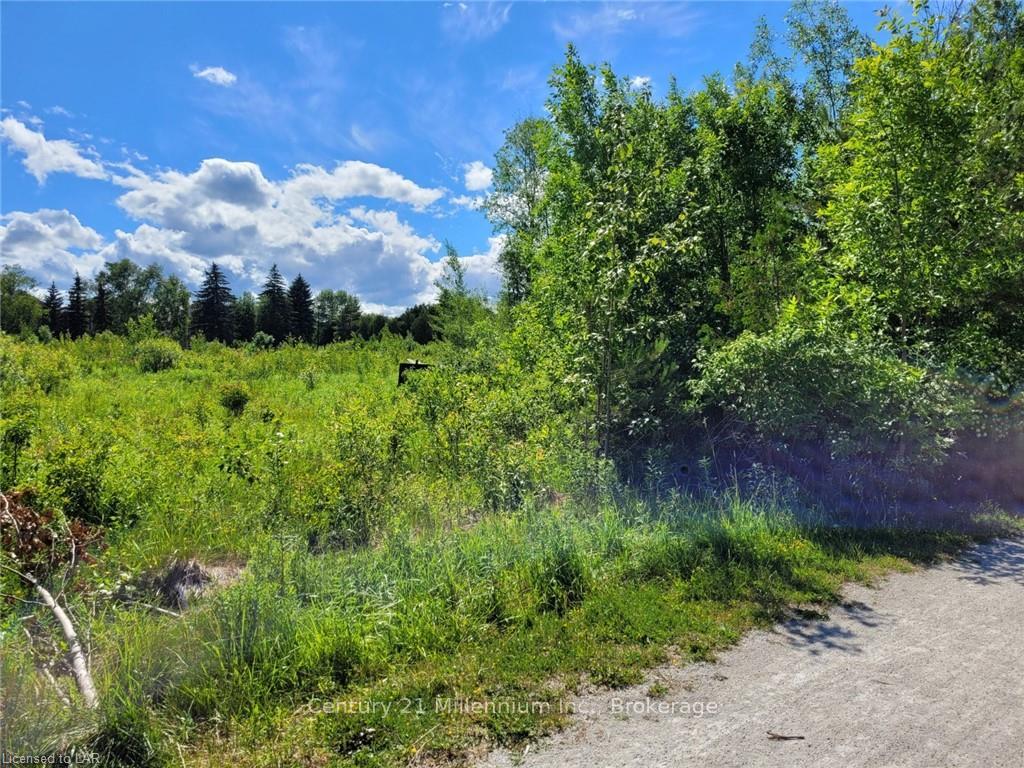 Photo 8 of 11325 26 Highway, Collingwood — HOMEH
