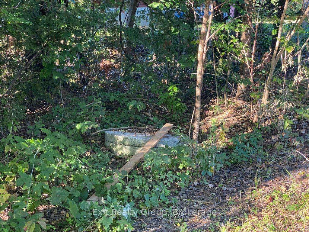 Photo 48 of 553 Murray Street, Quinte West, Murray Ward — HOMEH