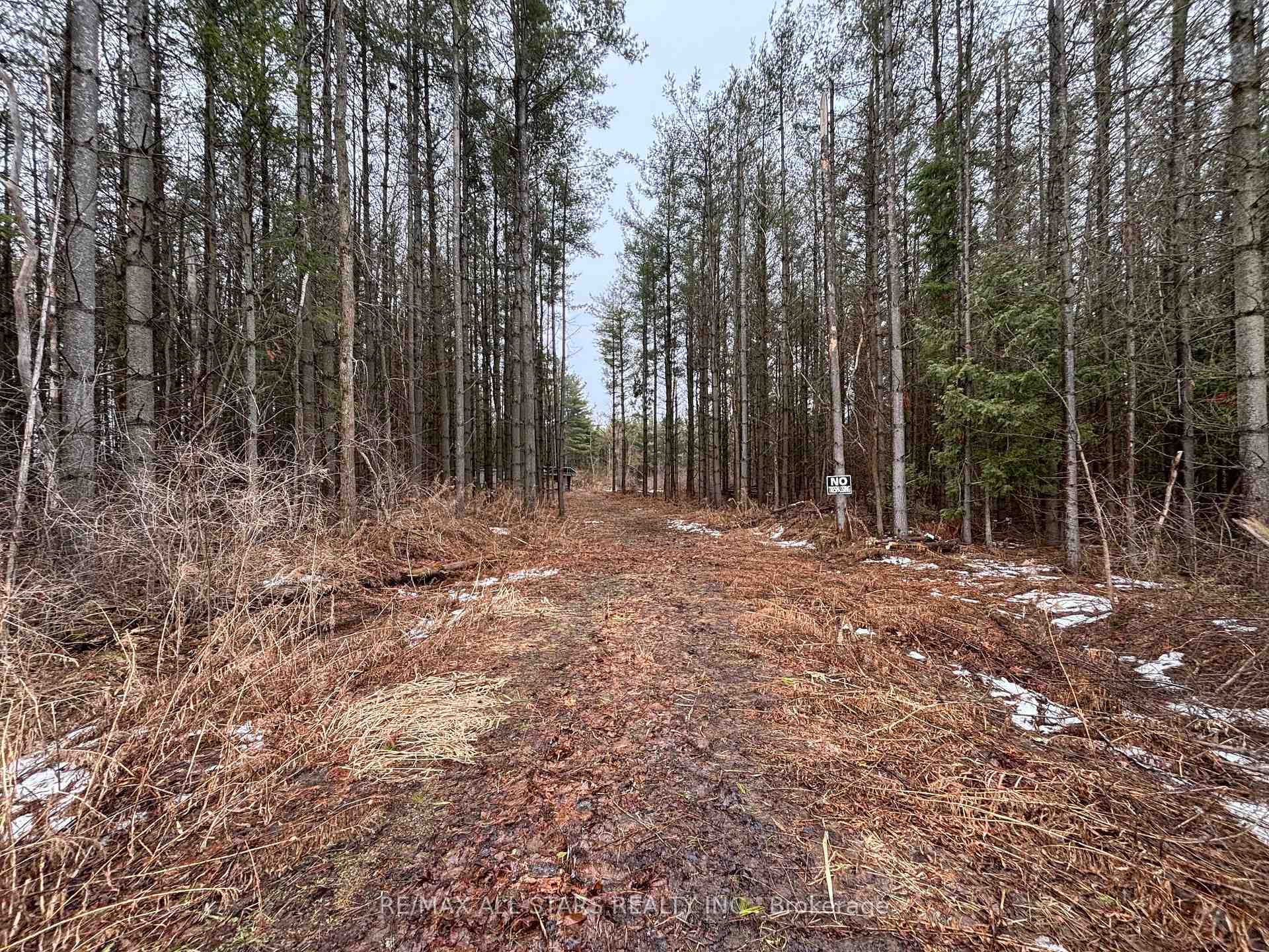 Photo 4 of B1780 Thorah Conc 3 Rd Concession, Brock, Rural Brock — HOMEH